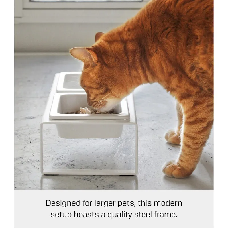 Elevated Pet Food Bowl Stand - Ceramic Bowls with Steel Frame (White/Black)