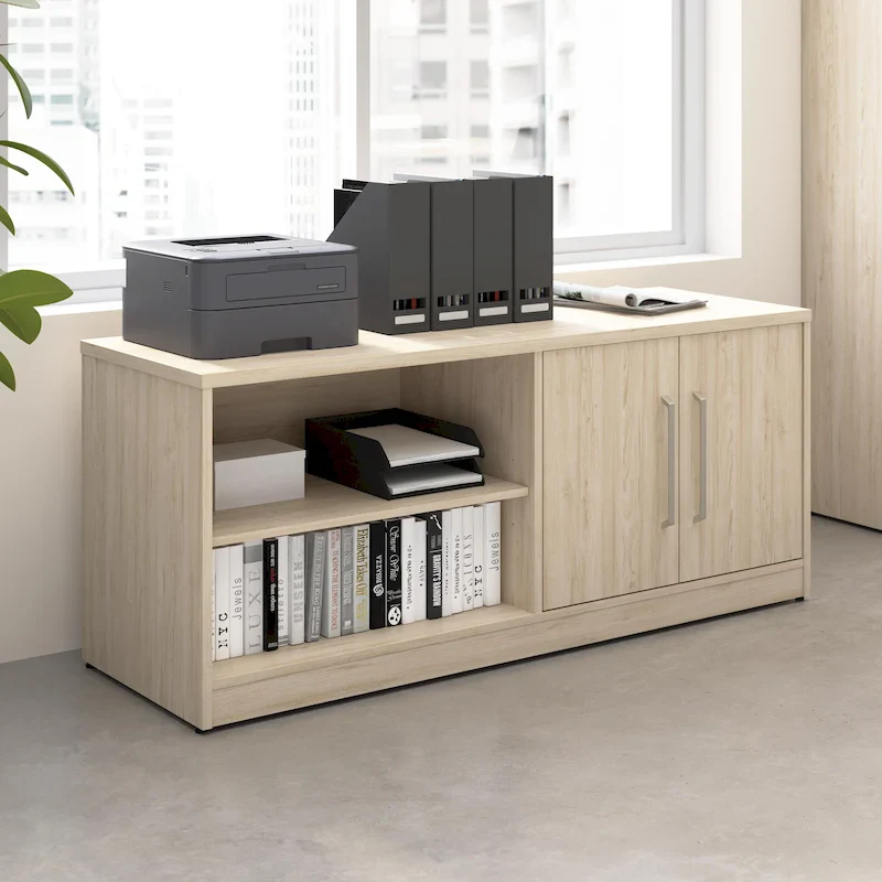 Low Storage Cabinet with Doors and Shelves