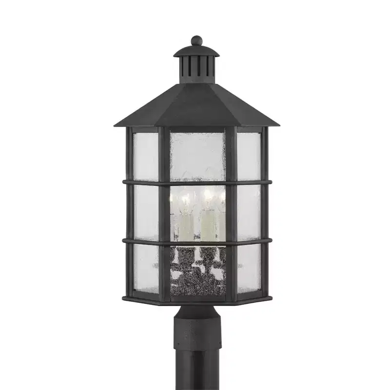 Troy Lighting Lake County 4 - Light Post Light in French Iron Clear Seeded Shade