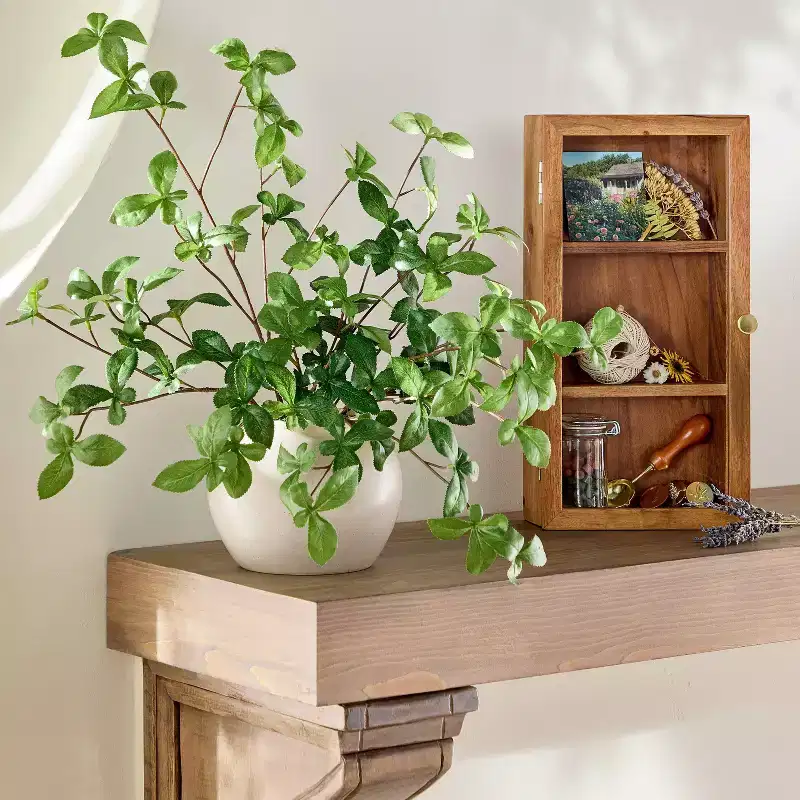 Wall Mounted Wood Display Box - Hearth & Hand™ with Magnolia