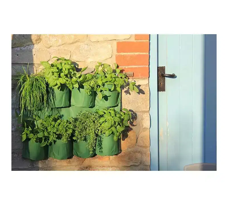Tierra Garden Herb Wall Planter