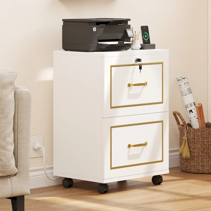 Mobile Filing Cabinet with 2 Drawers - Gold Accent
