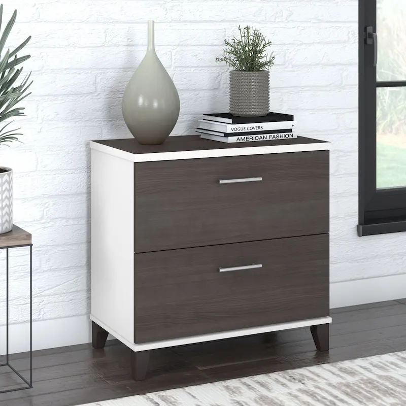 Bush Furniture Somerset 2 Drawer Lateral File Cabinet with Storage