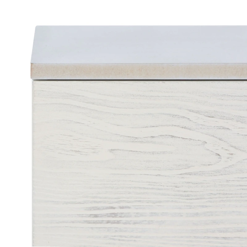 SAFAVIEH Lerke Media TV Stand - 54 W x 15.7 L x 19.7 H - 54Wx16Dx20H