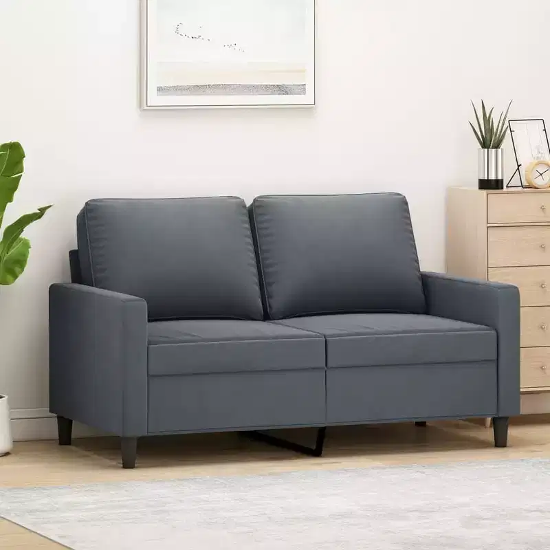 vidaXL 2-Seater Sofa in Dark Gray Velvet - Contemporary Design Couch with Sturdy Metal Frame and Thick Padding