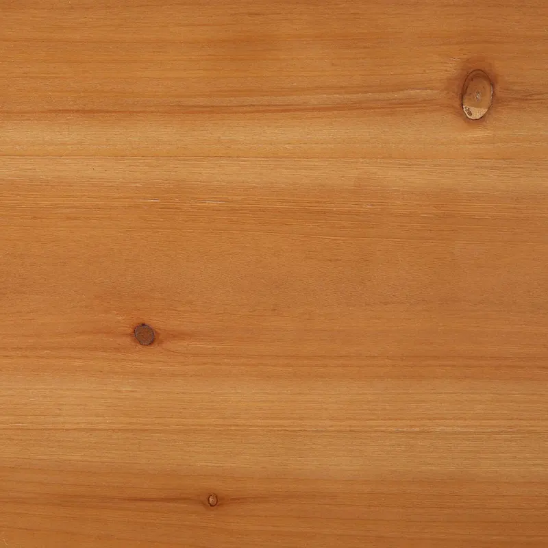 SAFAVIEH Meadhbh Rectangle Coffee Table - 47  W x 23  D x 18  H - 47Wx23Dx18H