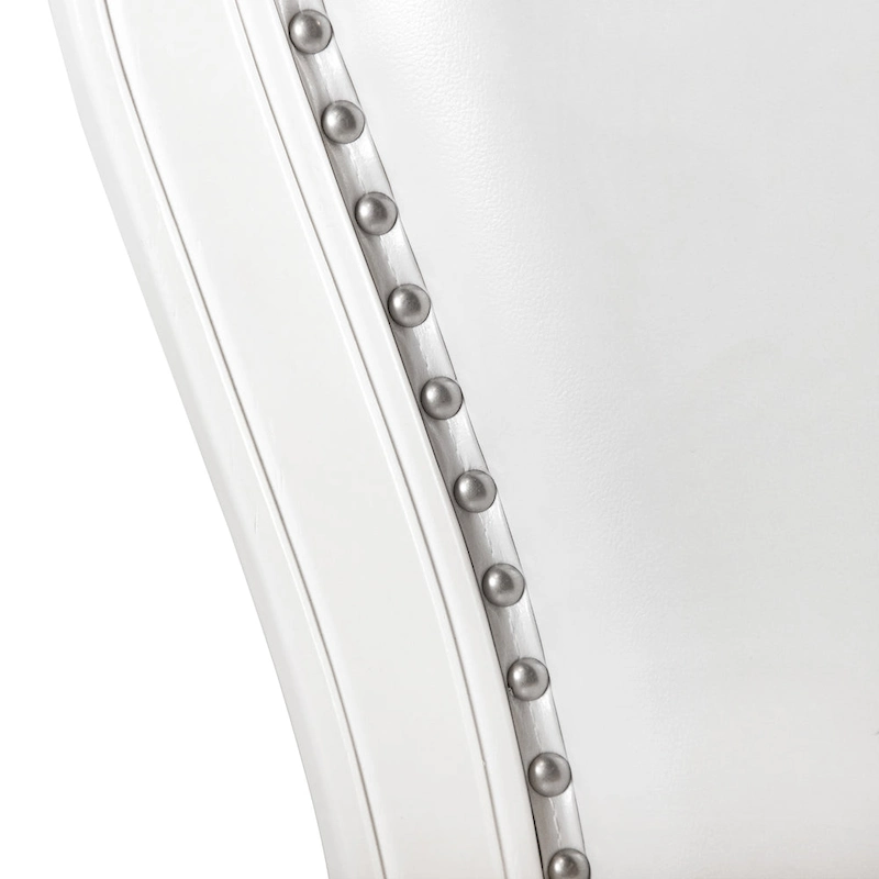 Furniture of America Eugene Traditional Solid Wood Dining Arm Chairs with Nailhead Trim and Cabriole Legs (Set of 2)