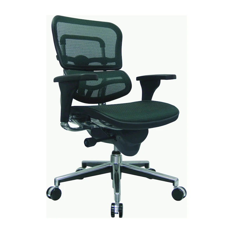 Eurotech Seating Ergohuman Mesh Managers Chair