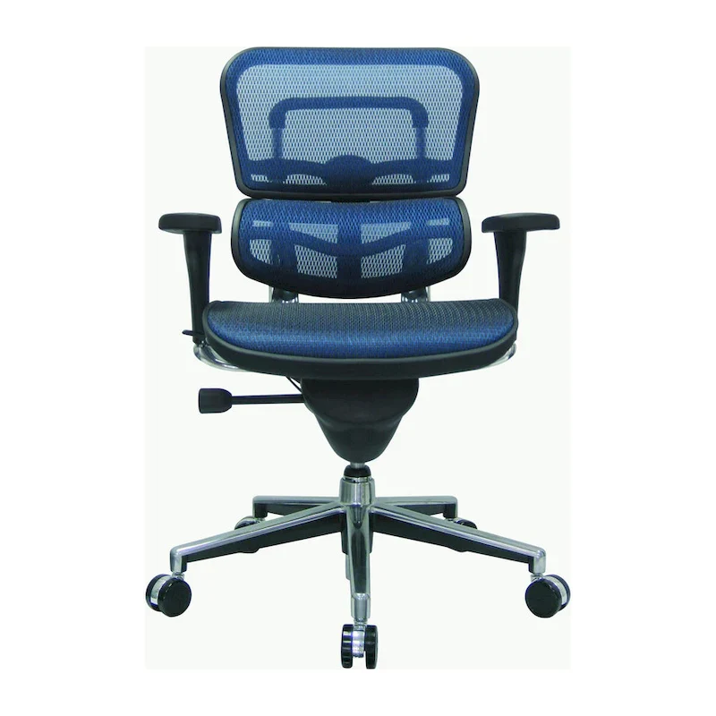 Ergohuman Mesh Managers Chair