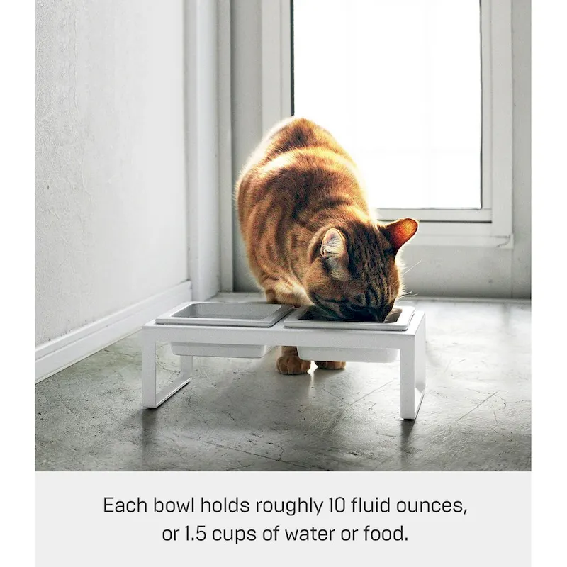 Elevated Pet Food Bowl Stand - Ceramic Bowls with Steel Frame (White/Black)