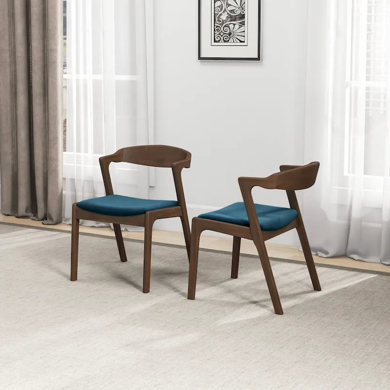 Rosanna Mid Century Modern Dining Chair (Set of 2)