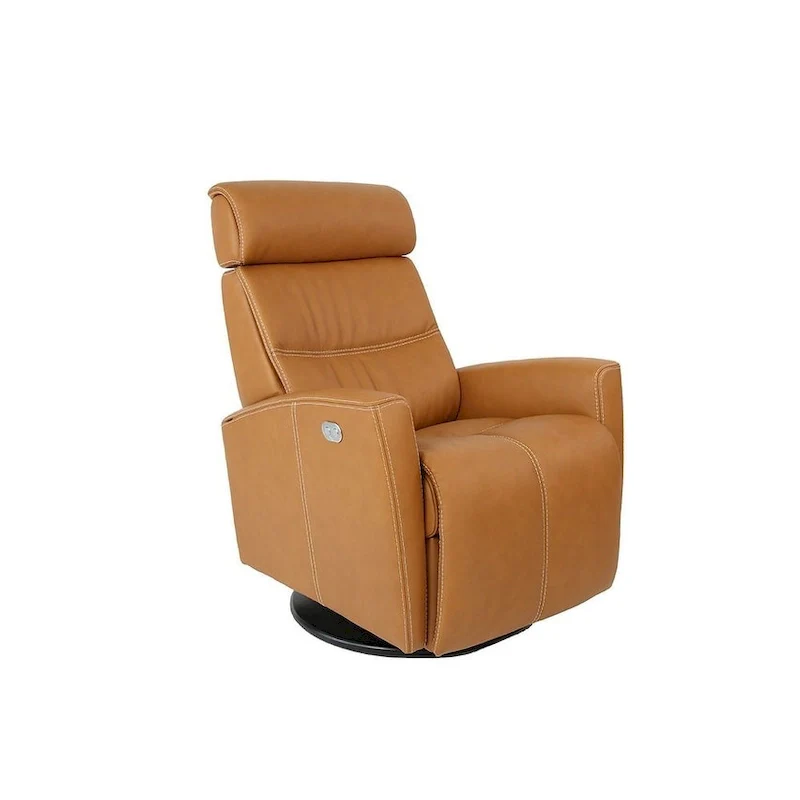 Leather Swing Recliner