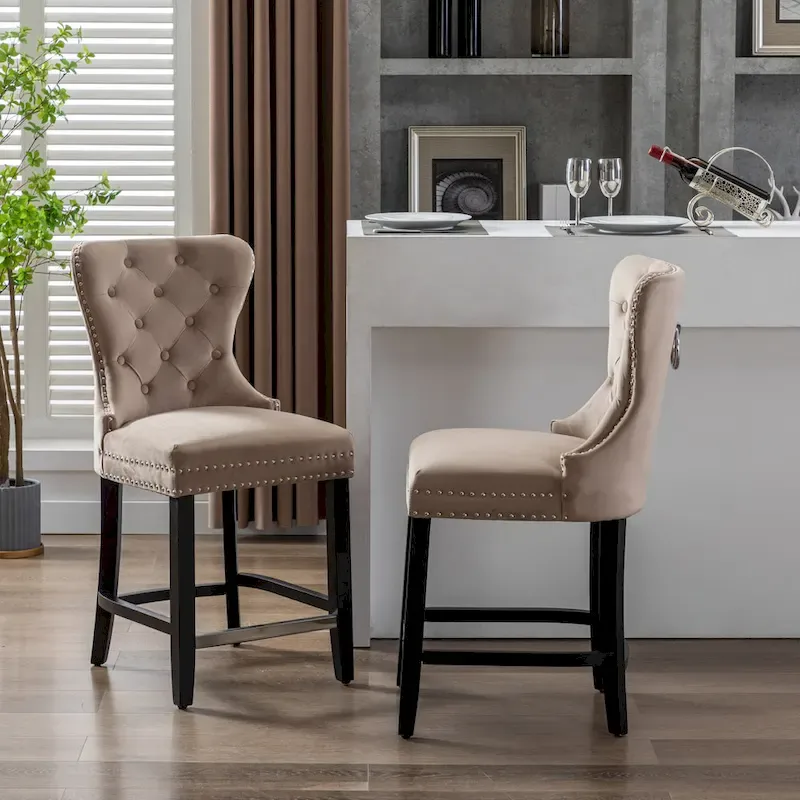 Carter 24  Wingback Tufted Nailhead Counter Stool (Set of 2)