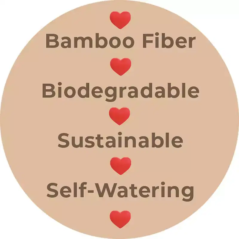 Tierra Garden 16 Rectangular Self-Watering Bamboo Planter