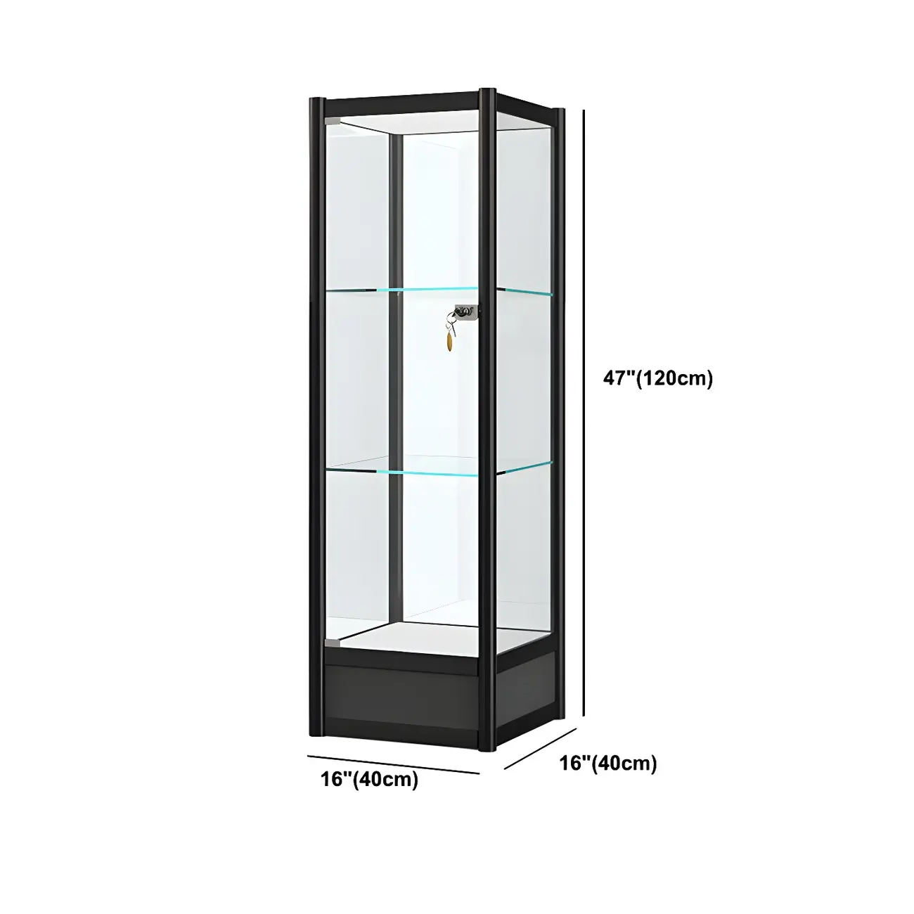 Rectangular Black Clear Glass Metal Frame Curio Cabinet
