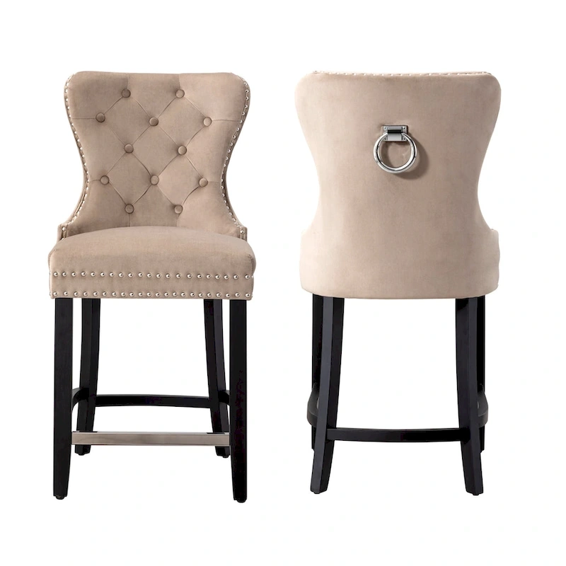 Carter 24  Wingback Tufted Nailhead Counter Stool (Set of 2)