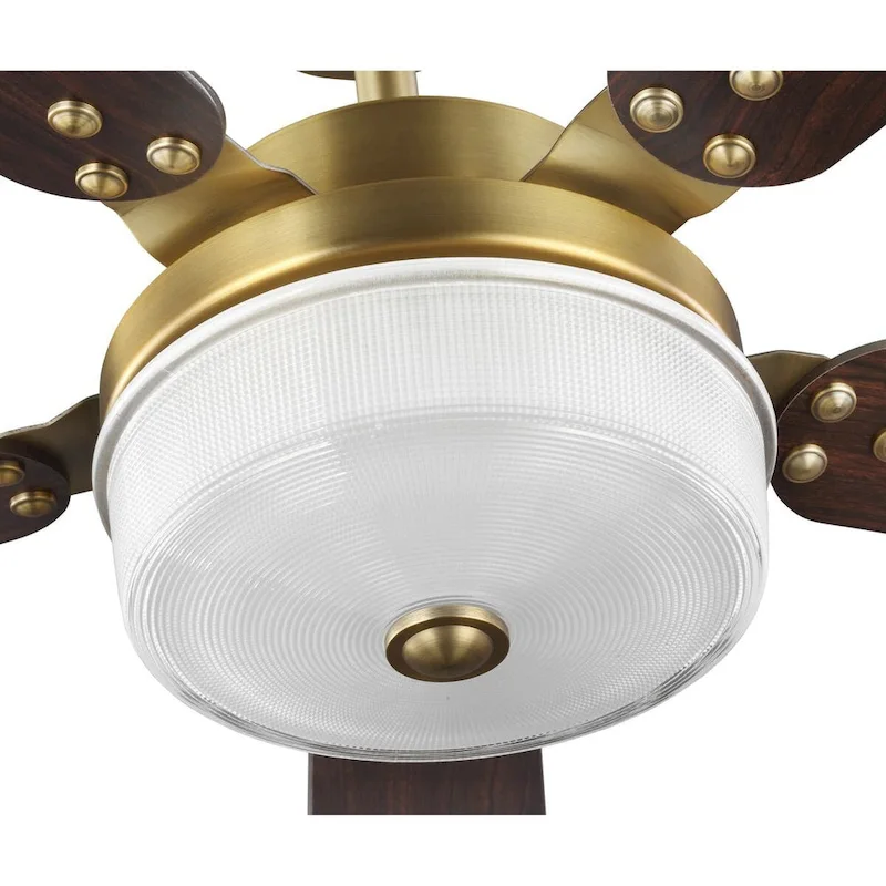 Tempt Collection 52  Five Blade Ceiling Fan - 9.500  x 25.120  x 12.870