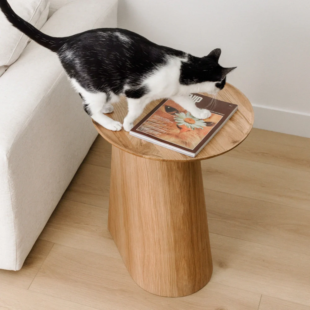 Kona Scratcher