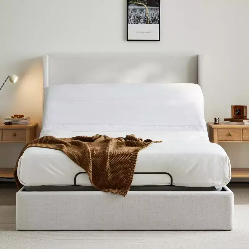 Christopher Knight Home Delara Modern Queen Size Chenille Upholstered Bed with Adjustable Base Bundle