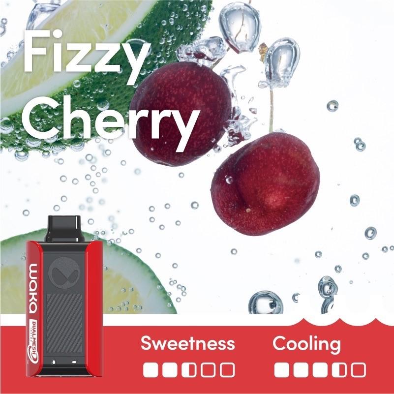 WAKA soPRO PA10000 Puffs 27 Flavors