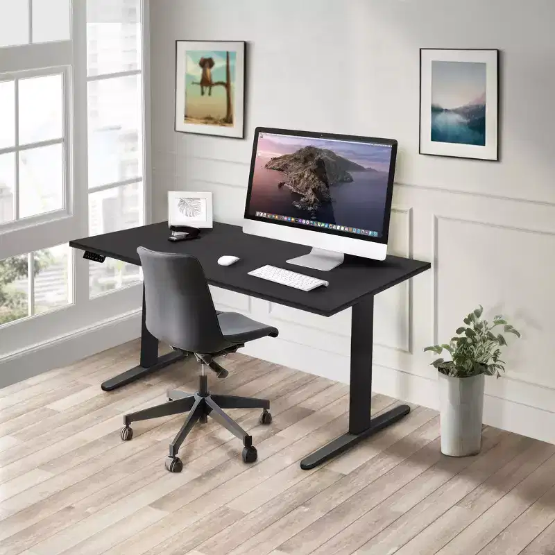 Mount-It! Dual Motor Electric Standing Desk with 55 Tabletop, Black