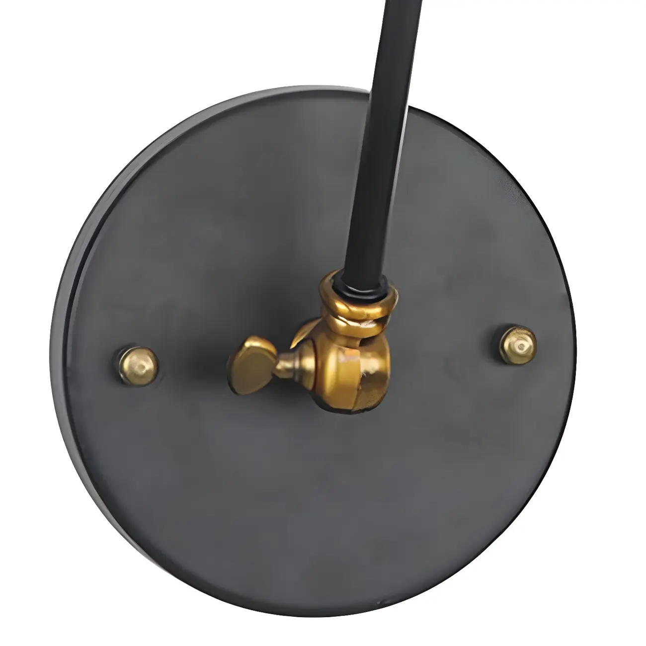 Adjustable Industrial Dome Swing Arm Wall Light