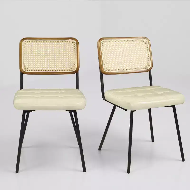 Art Leon Set of 2 Faux Leather Armless Cane Dining Chair with Metal Frame