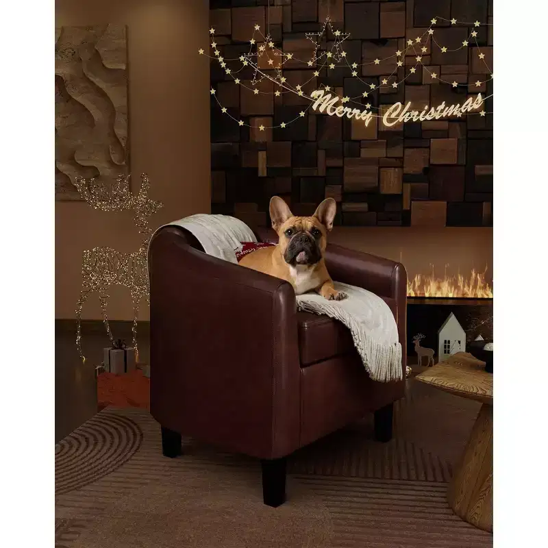 COZONY Faux Leather Accent Chair Set of 2 - Compact Single Seater with Side Pocket, 28W  26D  29H, U-Shaped Backrest, Curved Armrests