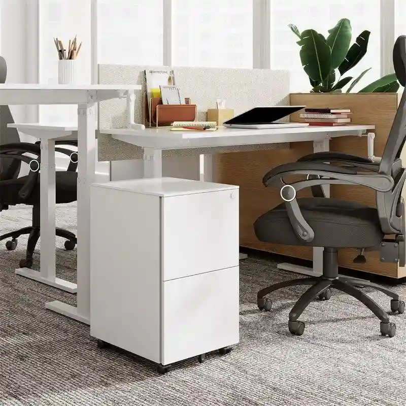2-Drawer Mobile File Cabinet