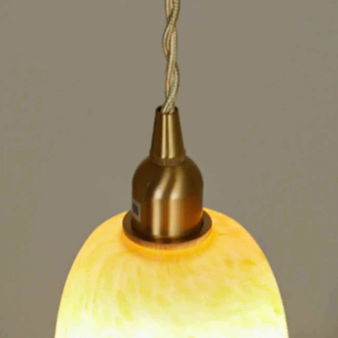 Modern Glass Pendant Light Gold Fixture in Flower Shaped
