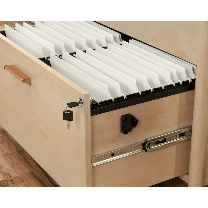 Whitaker Point Lateral File Nm