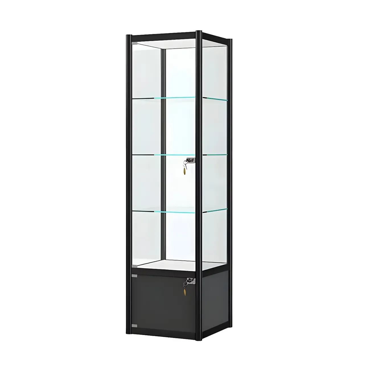 Rectangular Black Clear Glass Metal Frame Curio Cabinet