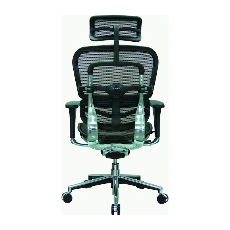 Ergohuman Mesh Managers Chair