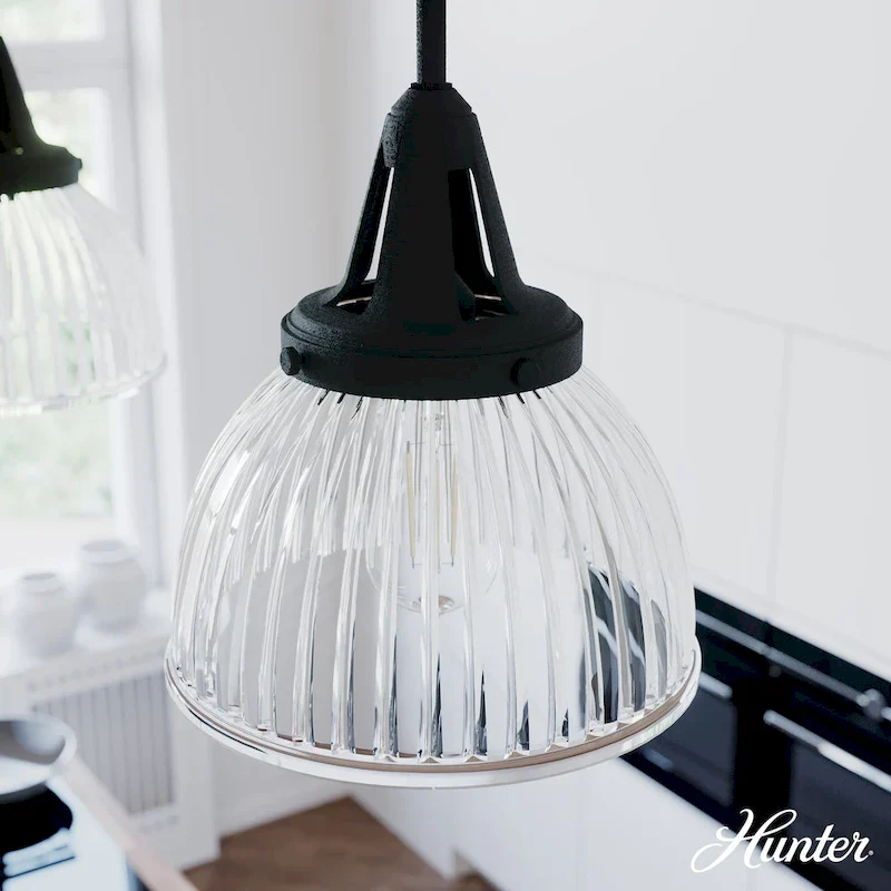 Hunter Cypress Grove 10  1-Light Pendant - Island, Dining Room - Industrial, Transitional, Contemporary