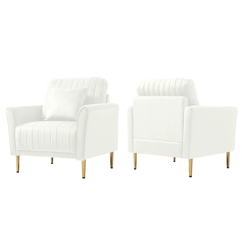 Velvet Accent Chair Living Room Chair Set of 2