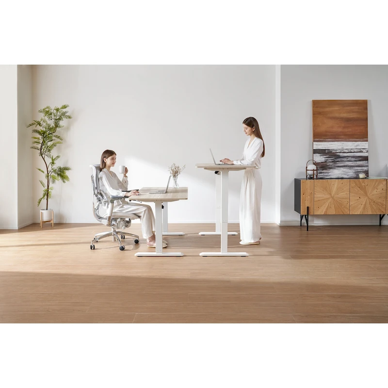 Sihoo D03 Office Desk, Height-Adjustable Standing Desk