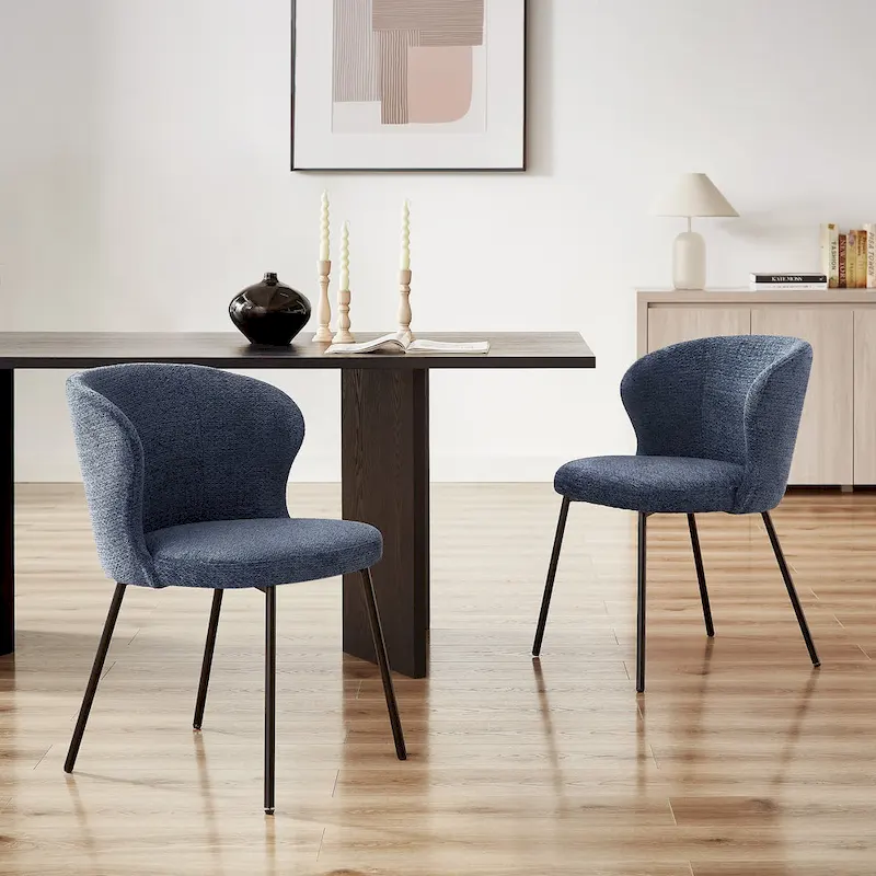 Modern Dining Chairs, Set of 2