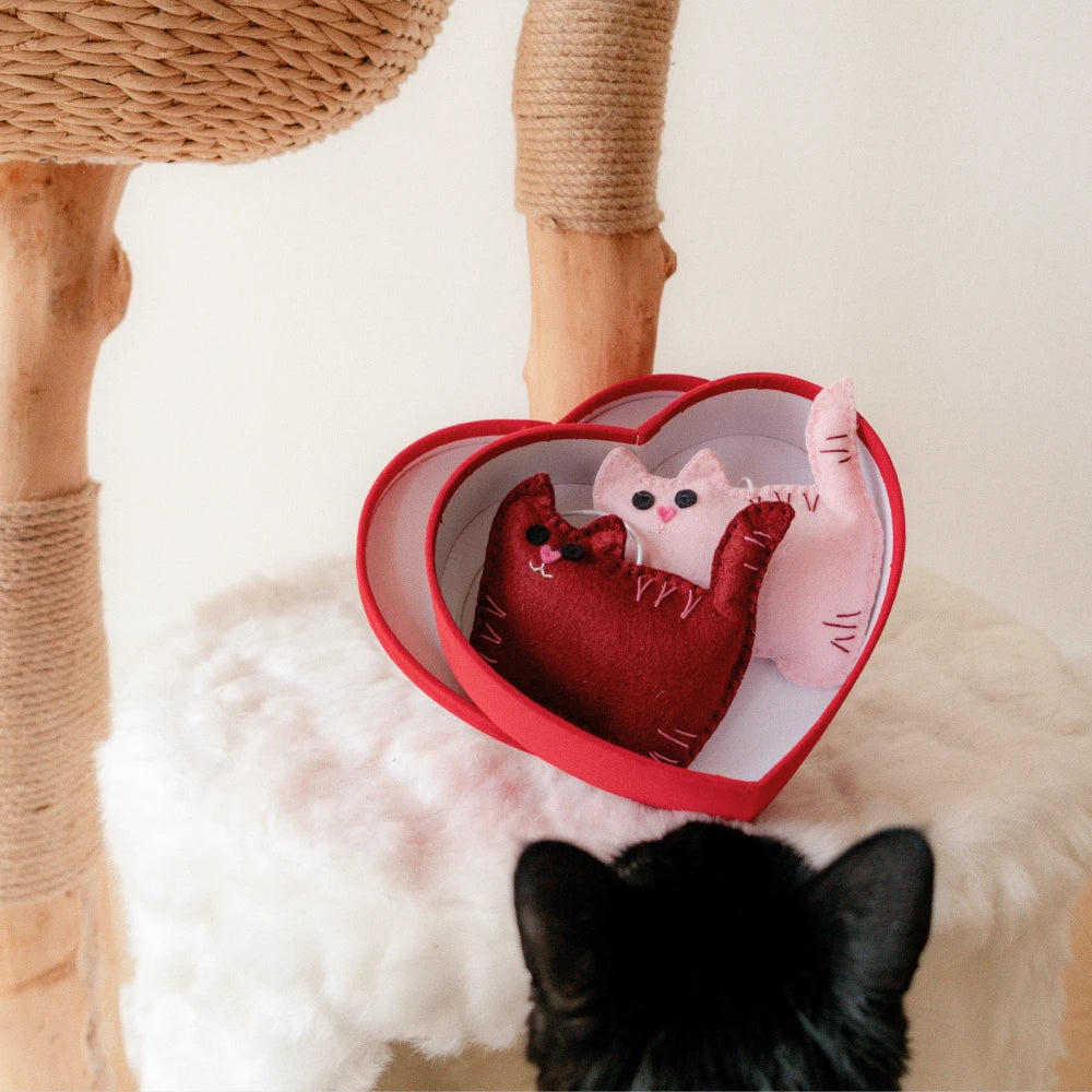 Limited Edition Sweetheart Kitty-Cat Pom-Poms