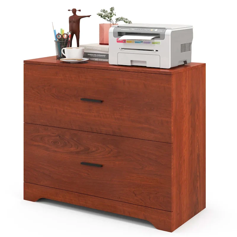 Black 2-Drawer Lateral File Cabinet with Adjustable Bars