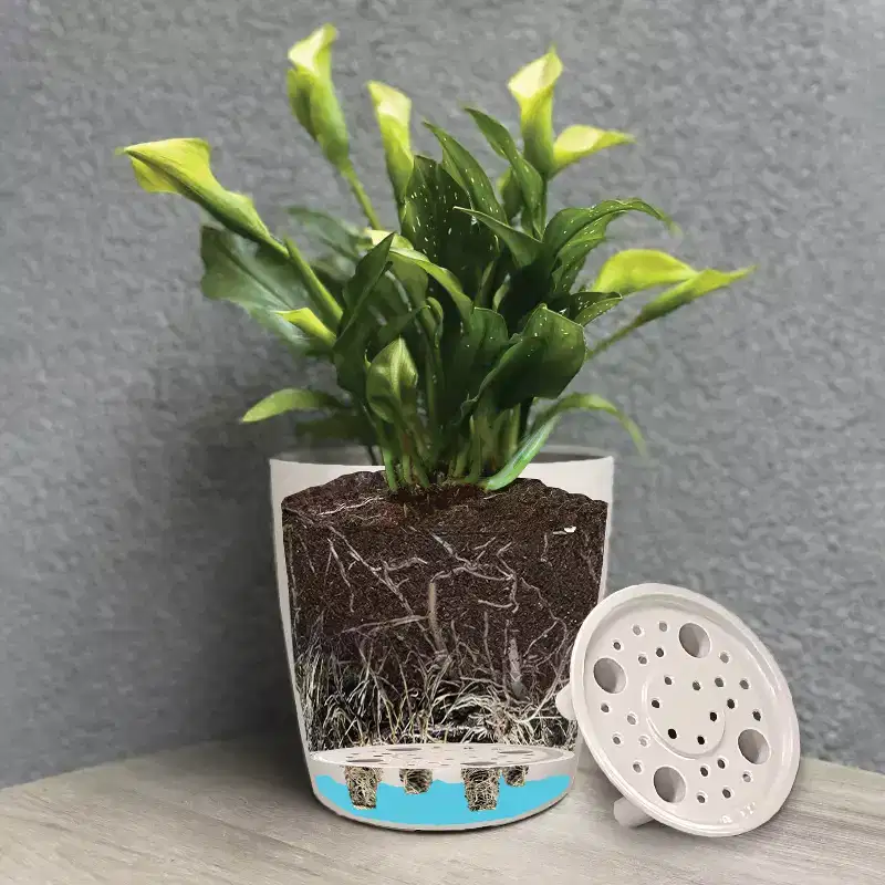 Tierra Garden 16 Rectangular Self-Watering Bamboo Planter