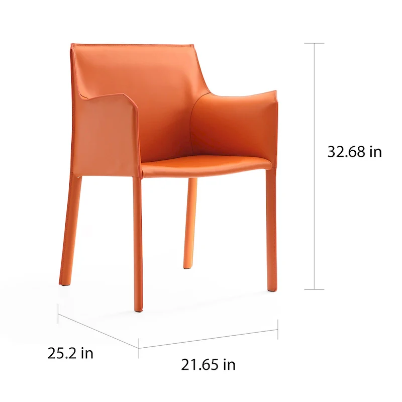 Ceets Chic and Modern Paris Dining Arm Chair