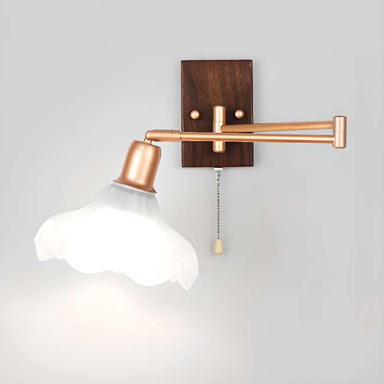 Elegant Swing Arm Wall Mount Light with Pull Chain Switch