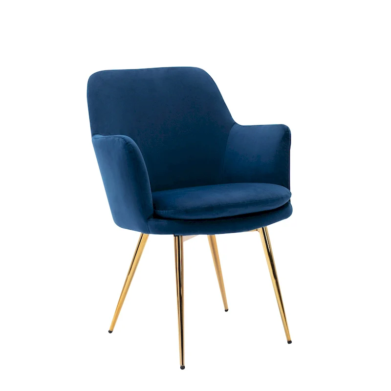Porthos Home Gemma Velvet and Goldtone Metal Accent Chair