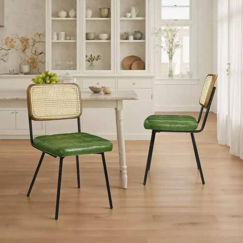 Art Leon Set of 2 Faux Leather Armless Cane Dining Chair with Metal Frame