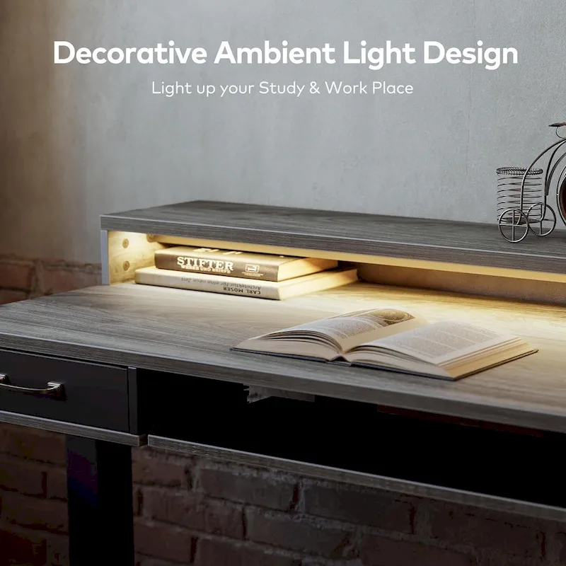 FEZIBO Height Adjustable Electric Standing Desk with Double Drawers&Keyboard Tray, Stand Up Desk with LED Strips