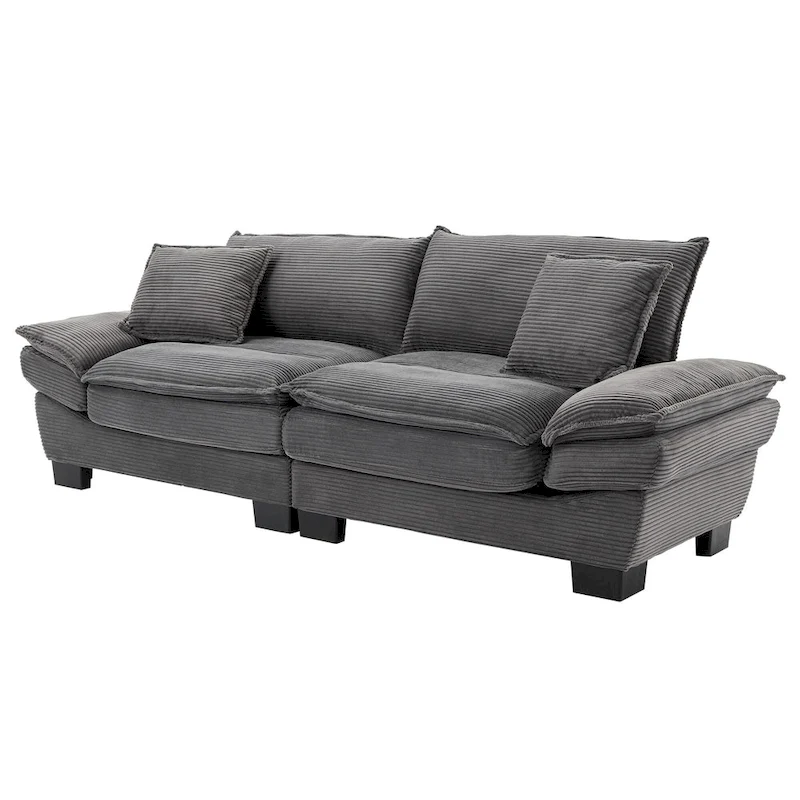 65.5 Upholstered 3-Seater Sofa Couch with Two Pillows and Sturdy Construction