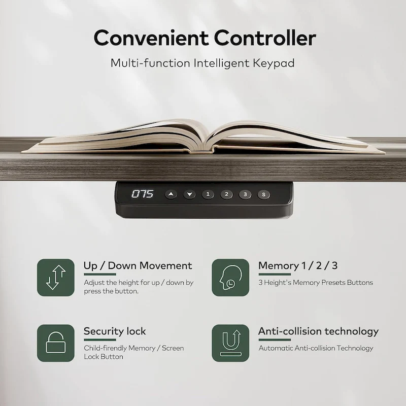 FEZIBO Height Adjustable Electric Standing Desk with Double Drawers&Keyboard Tray, Stand Up Desk with LED Strips
