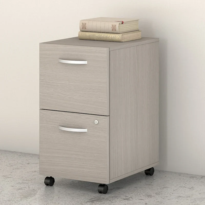 Studio C 2-drawer Mobile File Cabinet by