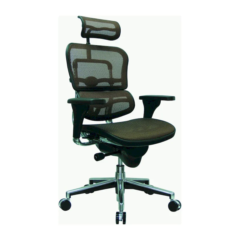 Ergohuman Mesh Managers Chair
