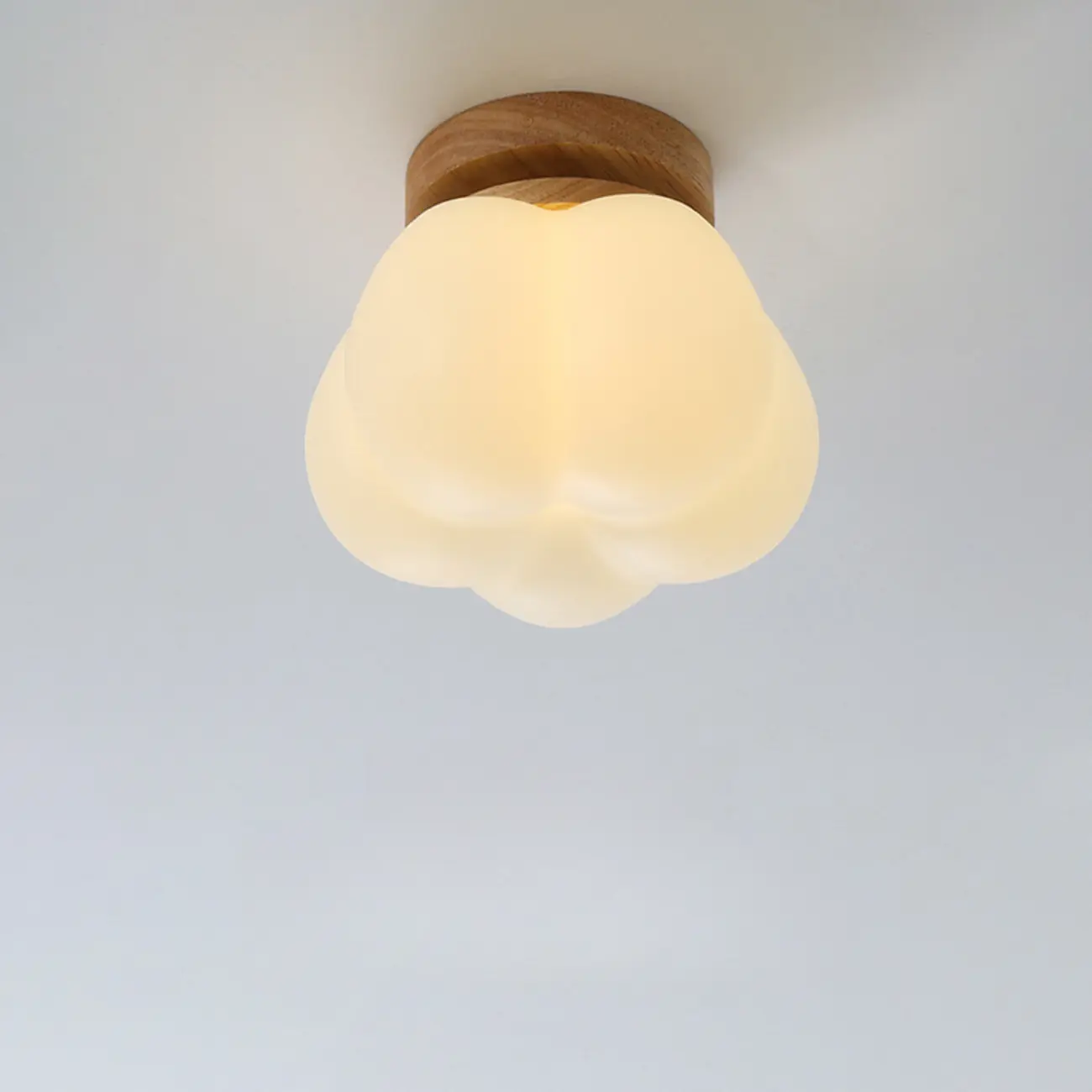 Modern Small White Resin Petal Wood Semi Flush Ceiling Light